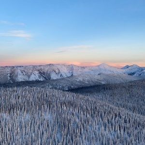 Meet your Posher, Tanner